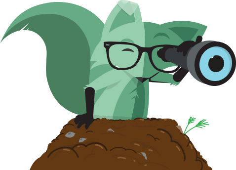 The mint fox looking through a telescope