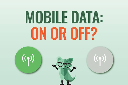 Mobile data: On or off?