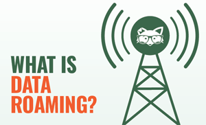 What is data roaming?