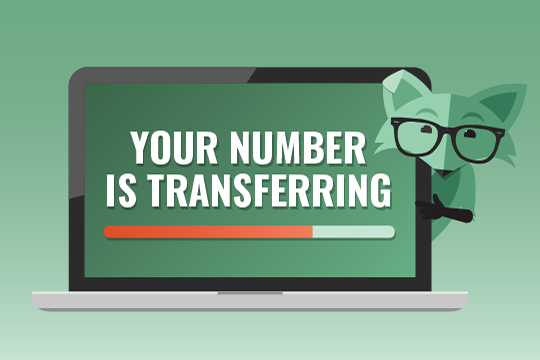 Switch it up — how to bring your phone number to Mint Mobile