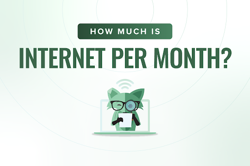 How much is internet per month?